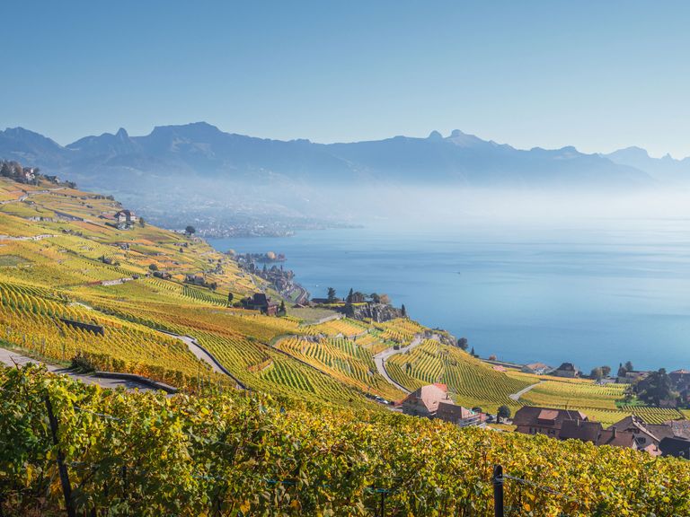 Der Genfersee gehört zu den schönsten Orten der Schweiz. Blick auf den Genfersee, Lavaux-Region
