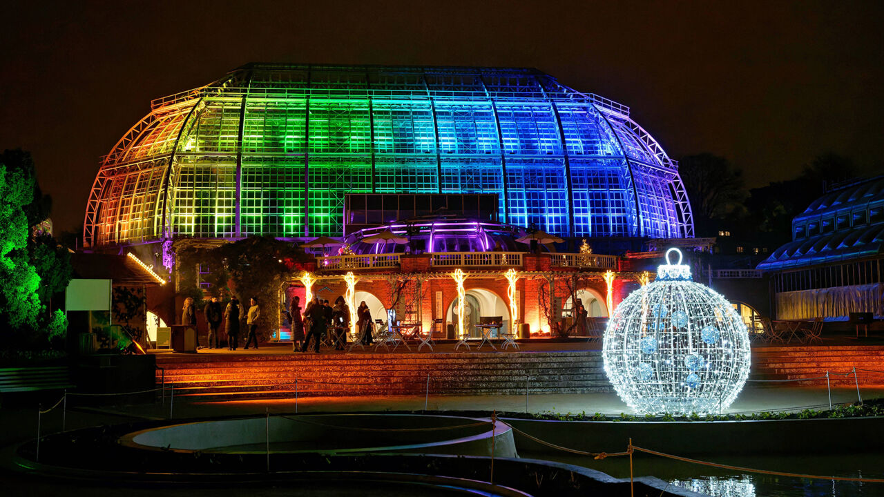 Der Christmas Garden im Botanischen Garten Berlin