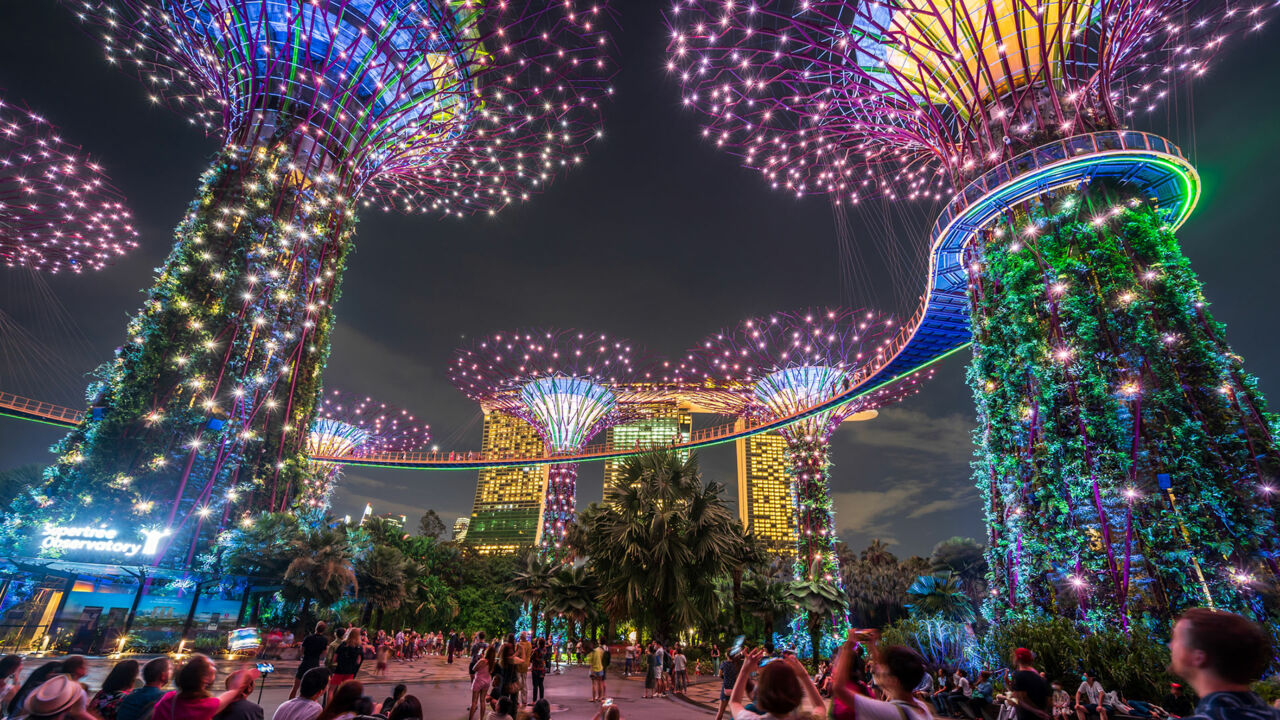 Blick auf die Supertrees im Gardens by the Bay