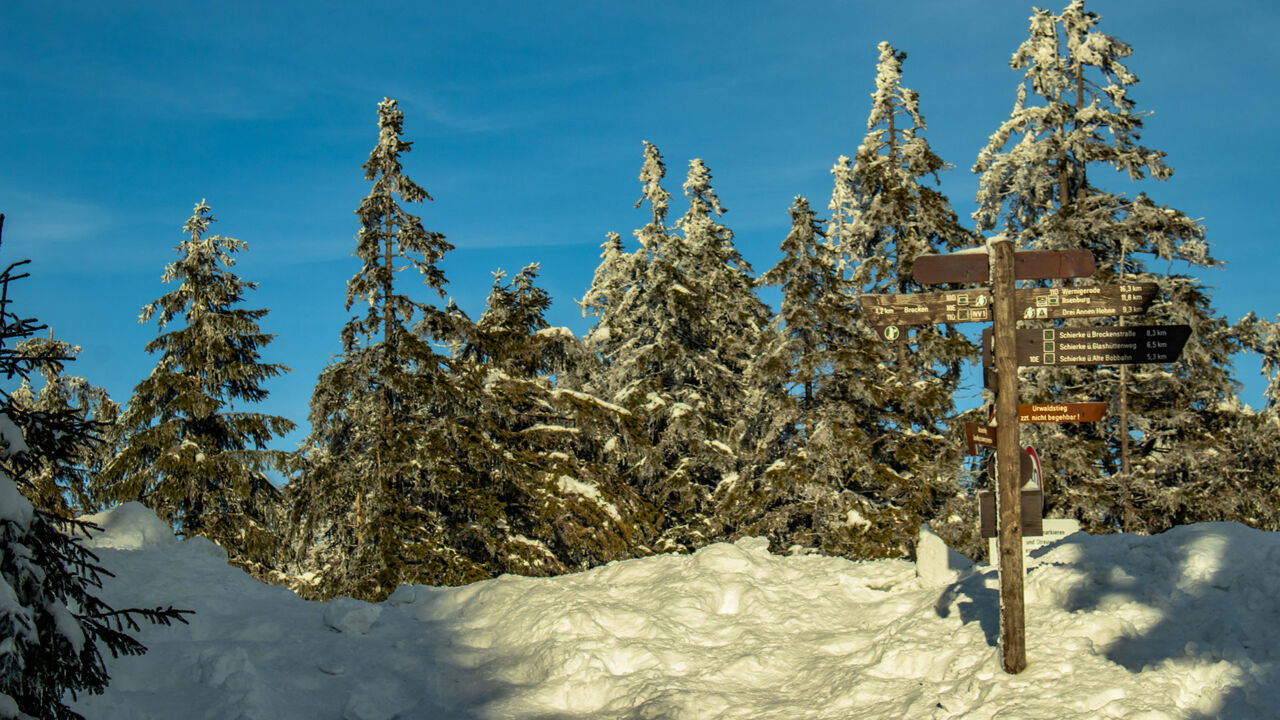 Winterurlaub im Harz, Blick vom Brocken