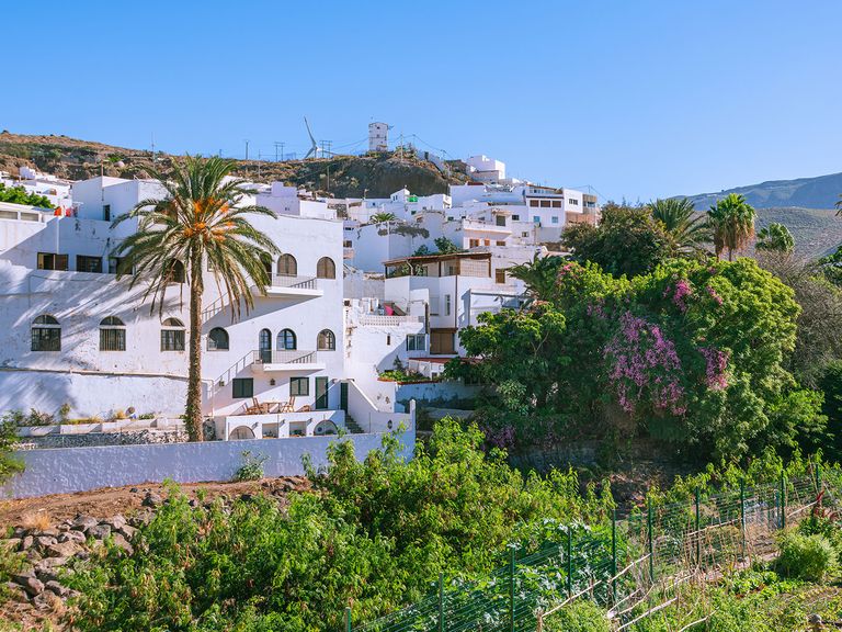 Malerische Gärten und palmengesäumte Straßen: Das Dorf Agaete auf Gran Canaria Das kanarische Dorf Agaete auf der Insel Gran Canaria