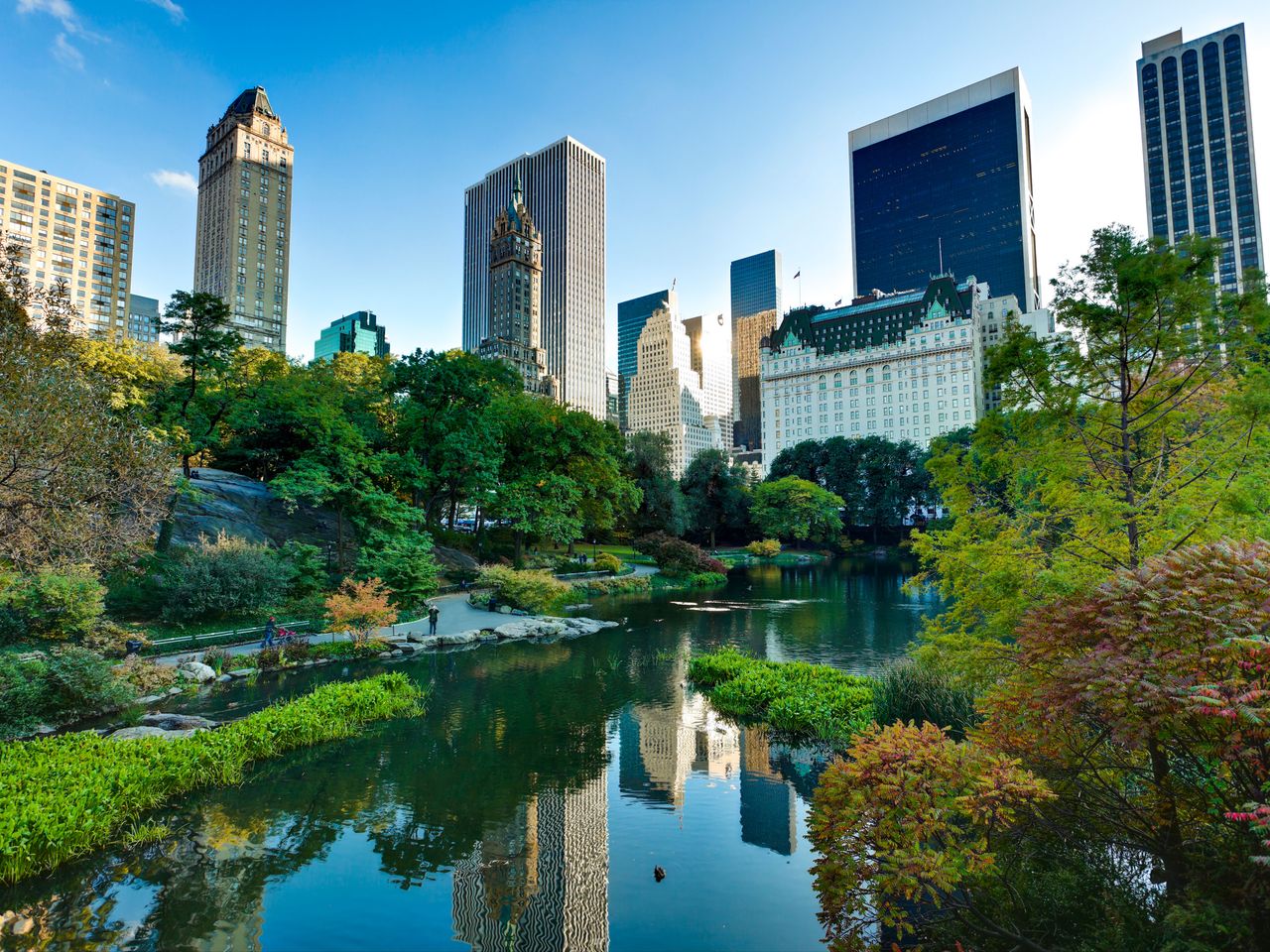 Central Park von oben