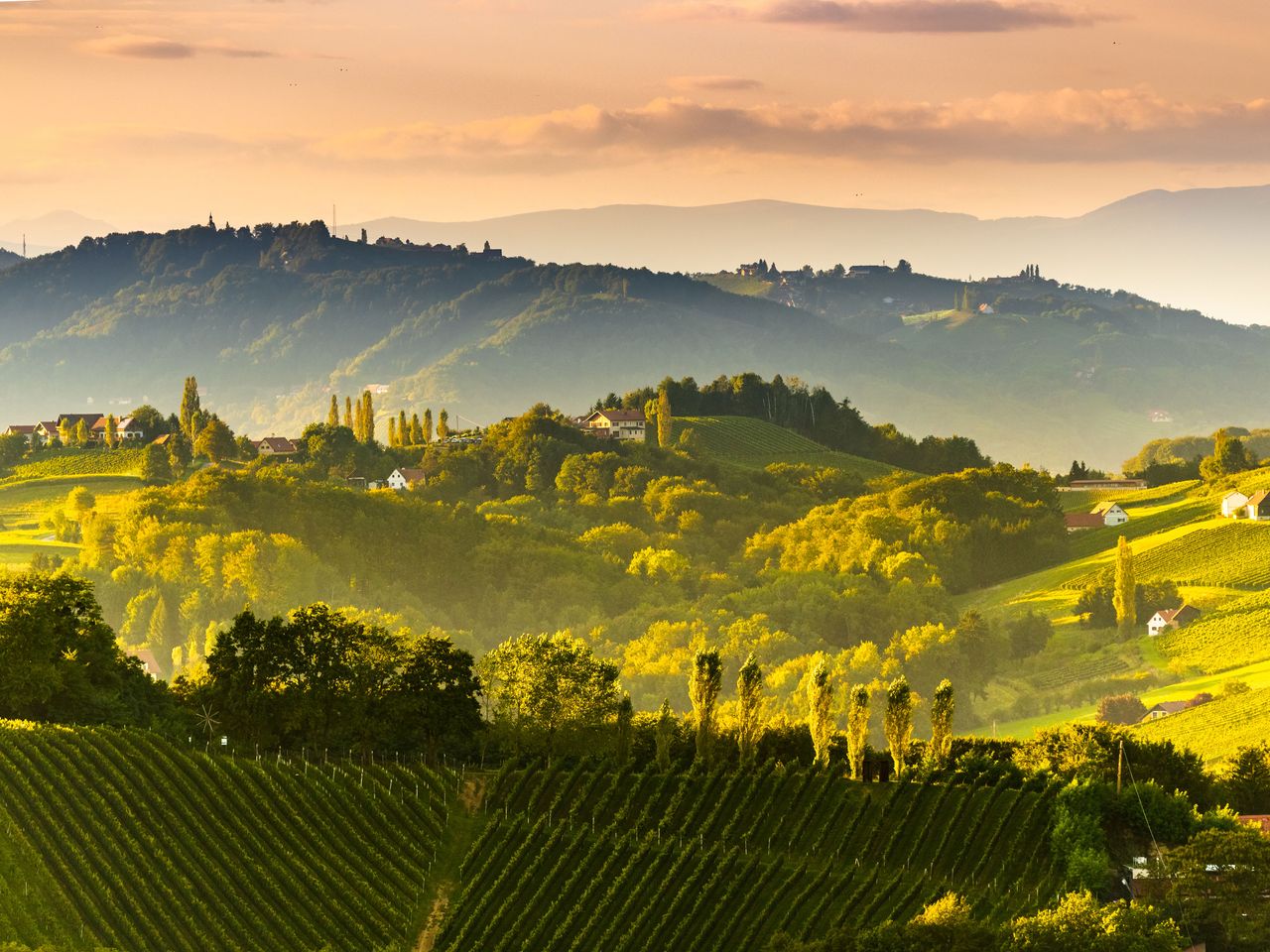 Südsteirische Weinberglandschaft in der Nähe von Gamlitz