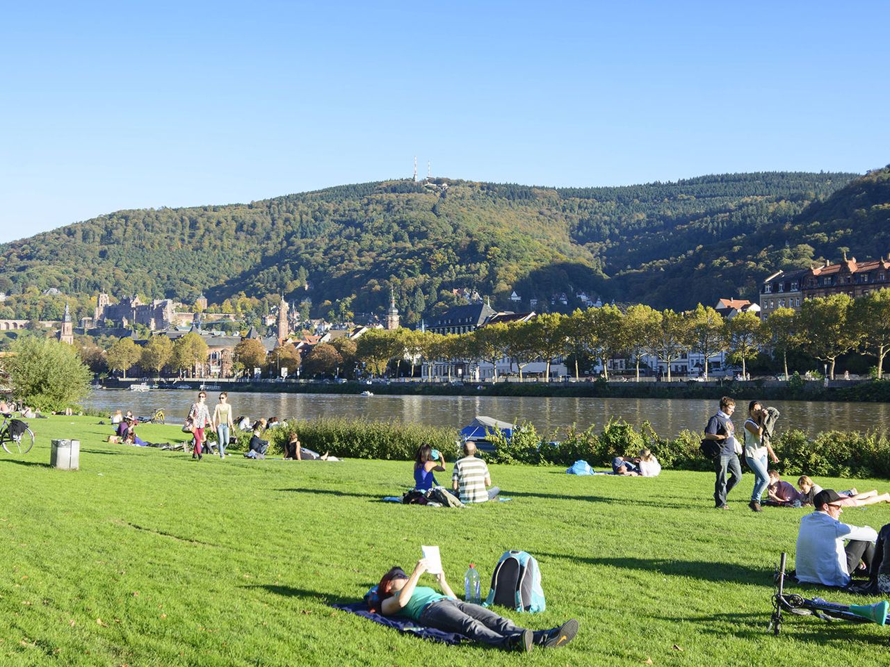 Neckarwiese in Heidelberg