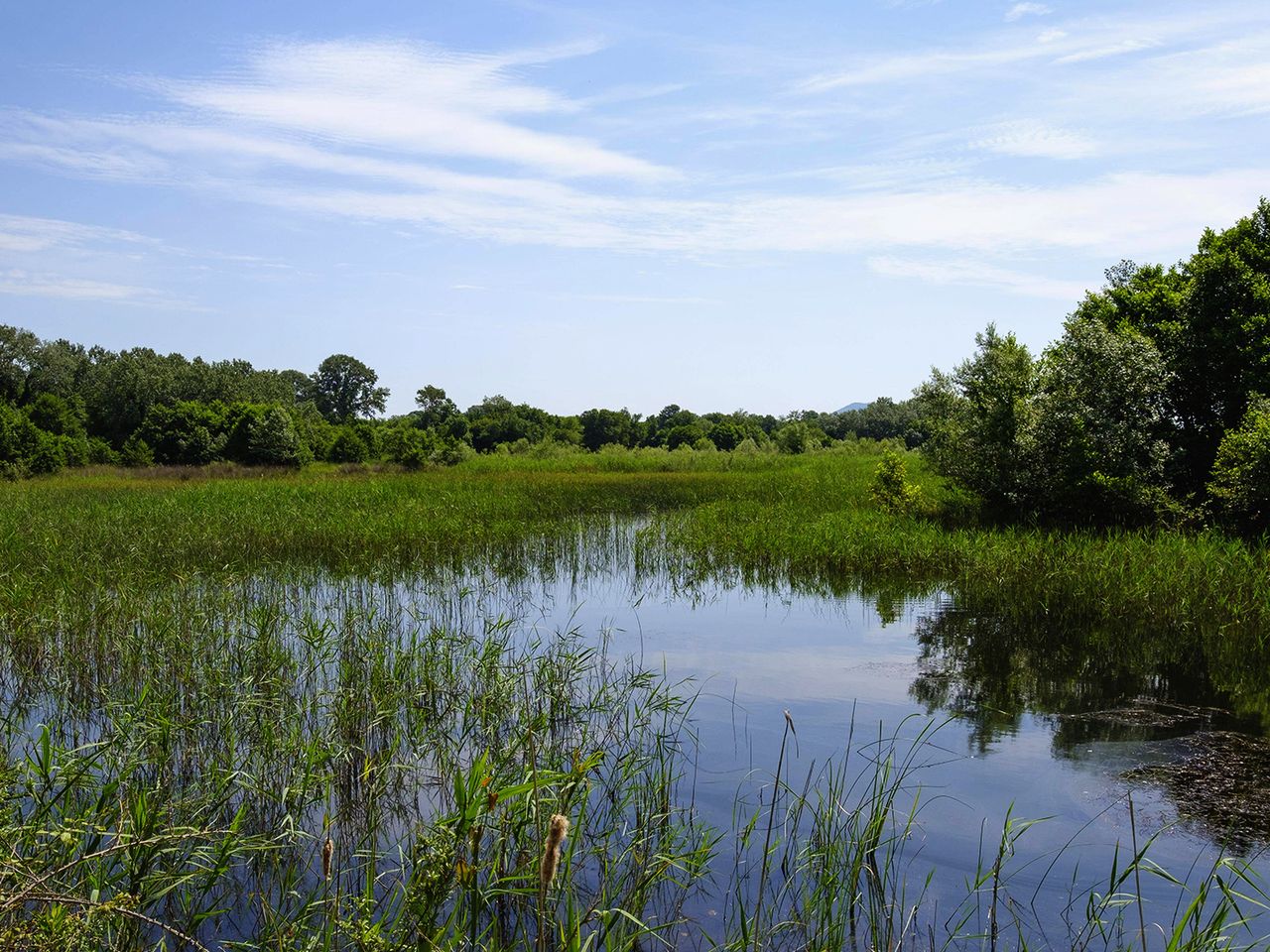 Naturpark Ulcinj in Montenegro