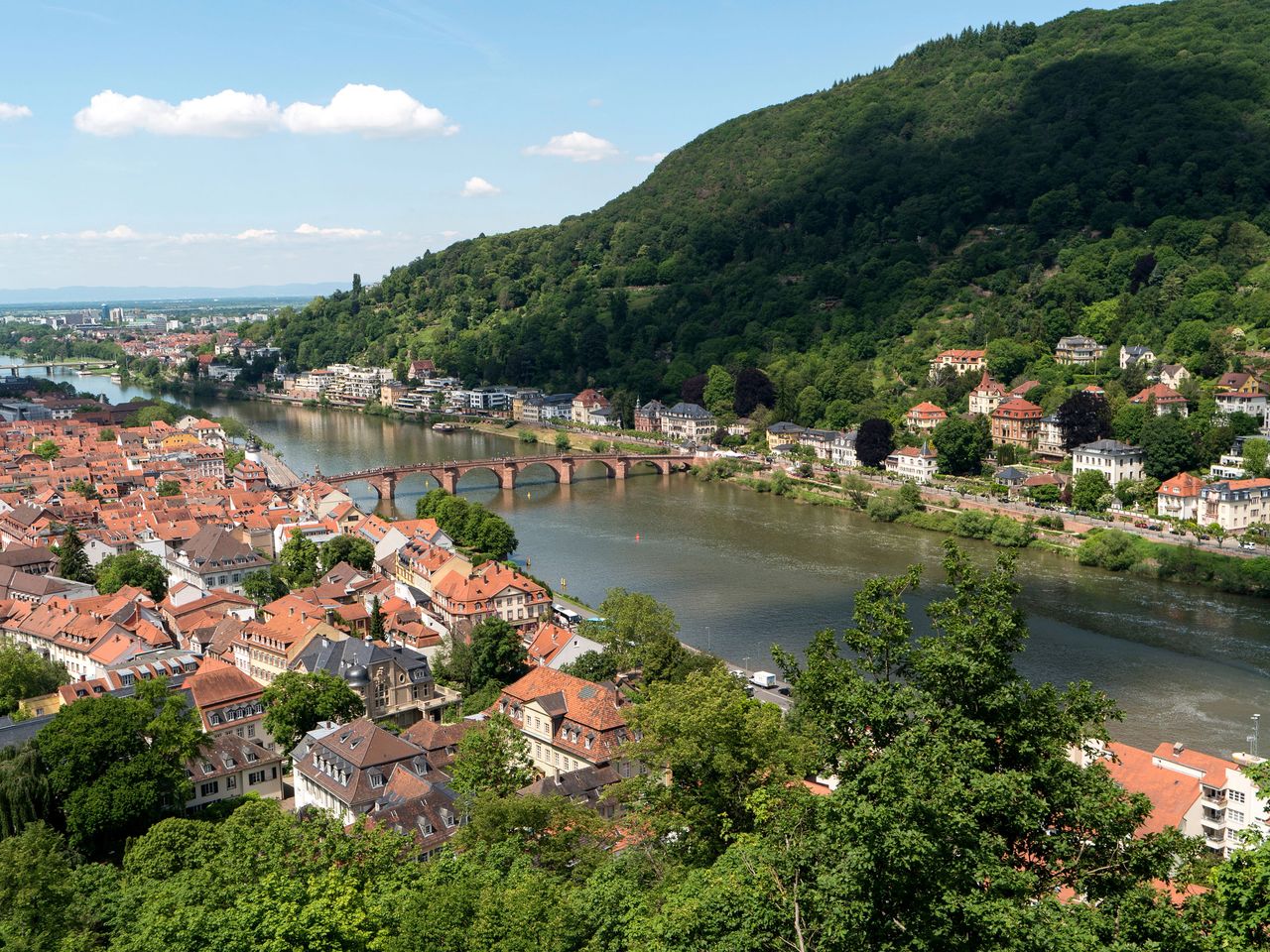 Blick vom Königstuhl in Heidelberg auf den Neckar