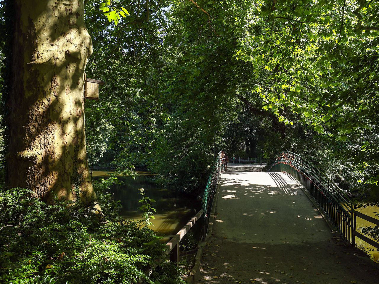 Brücke im Botanischen Garten Rombergpark in Dortmund