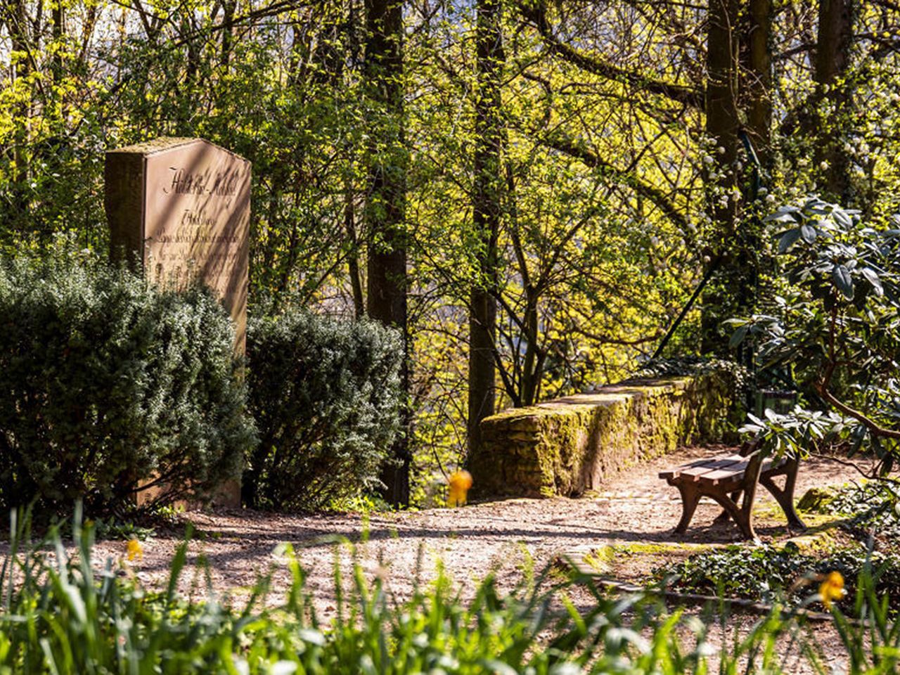 Philosophenweg in Heidelberg