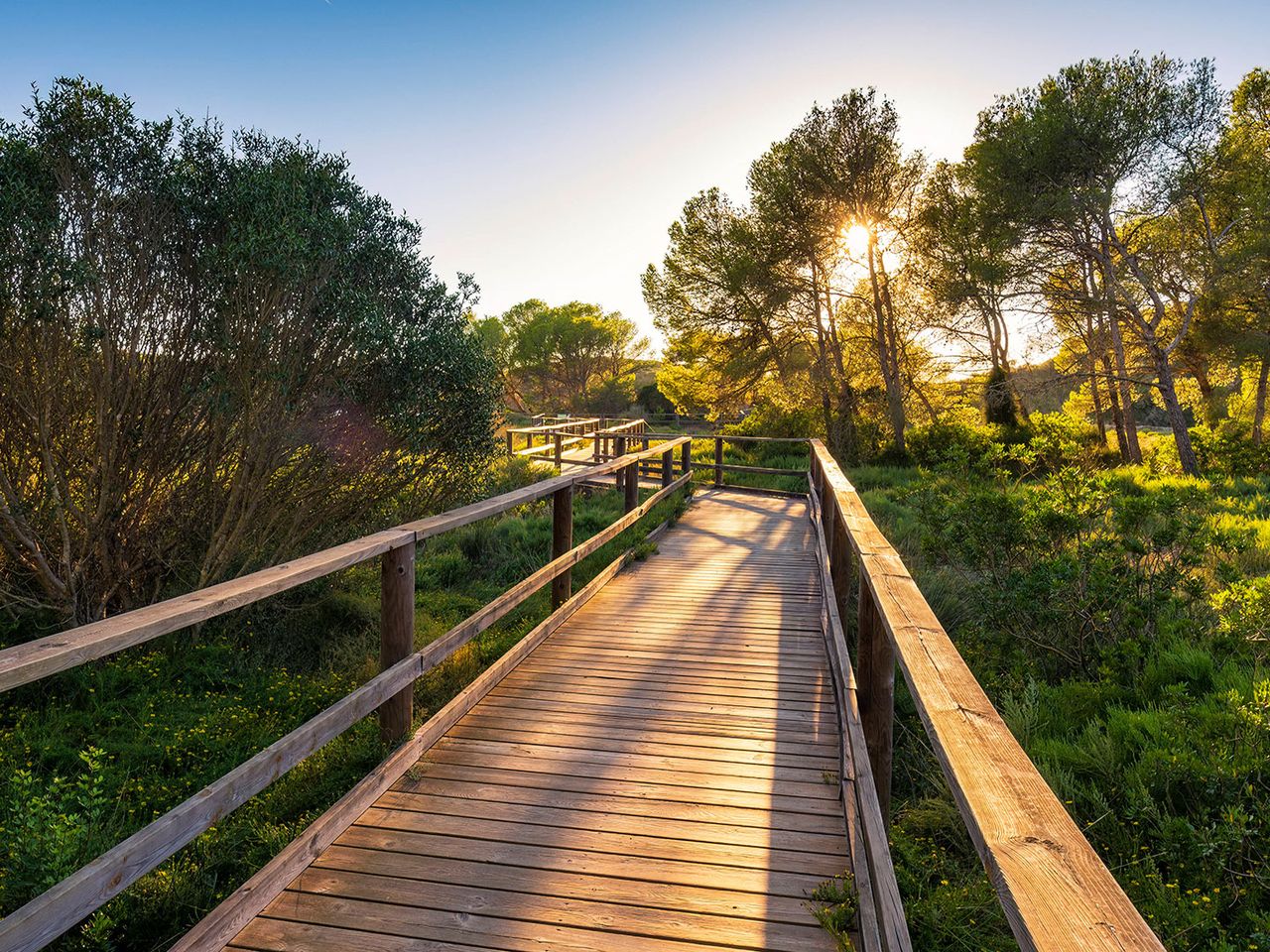 Holzsteg im Grünen, Parc Natural de s’Albufera d'Es Grau (Menorca)