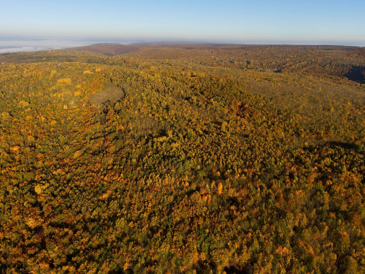 Luftaufnahme Nationalpark Hainich