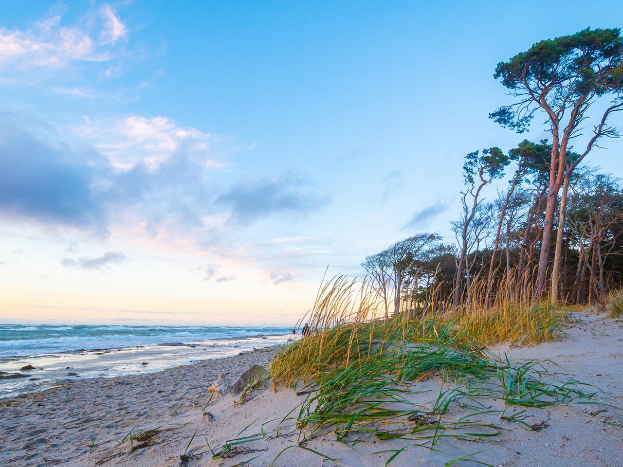 Weststrand auf dem Darß