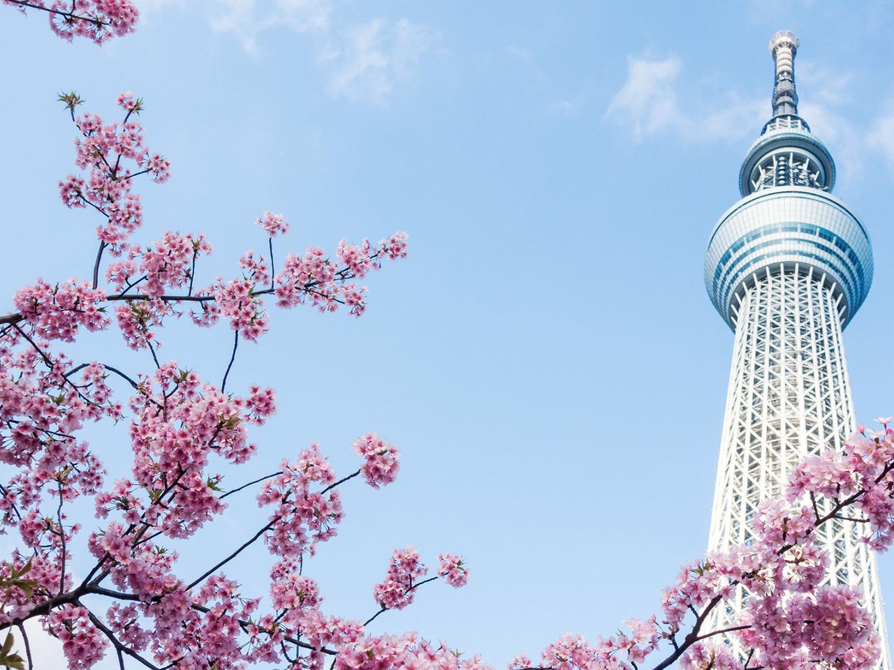 Fernsehturm Skytree Tokyo