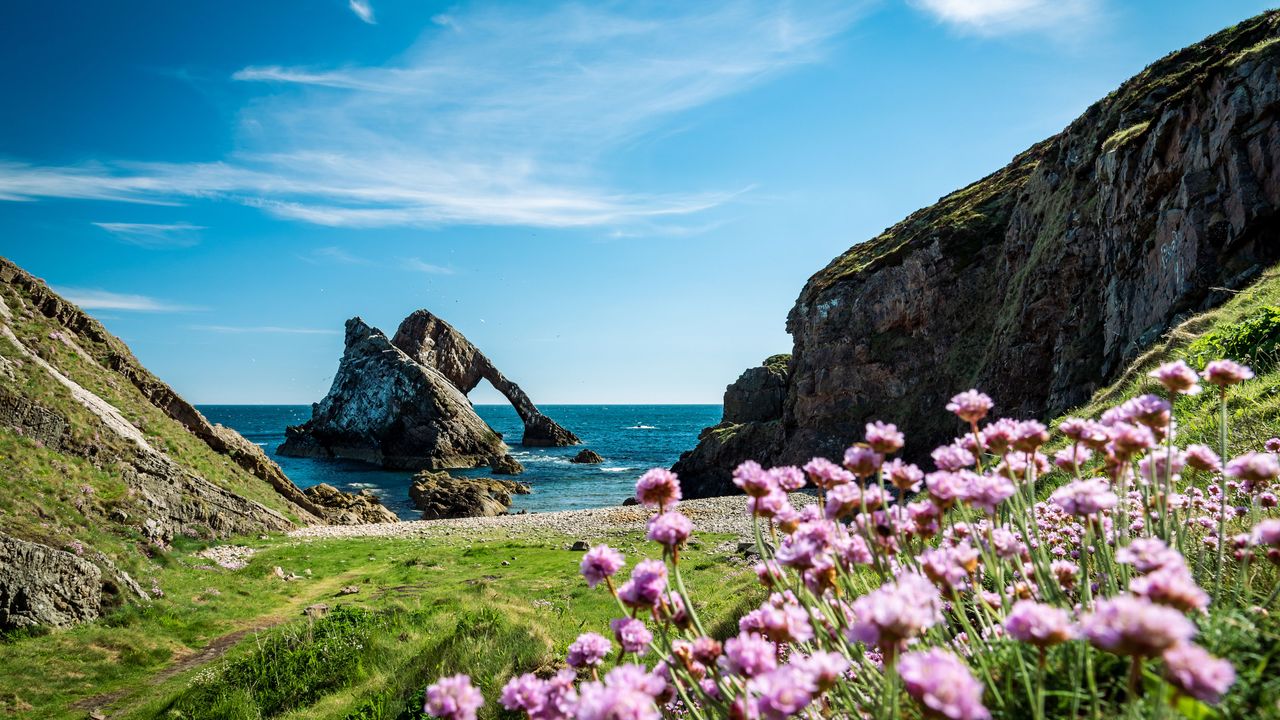Schottland, Natur in der Nähe von Aberdeen